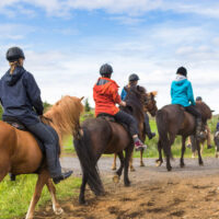 Employees riding horses for a team-building exercise