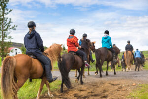 Employees riding horses for a team-building exercise